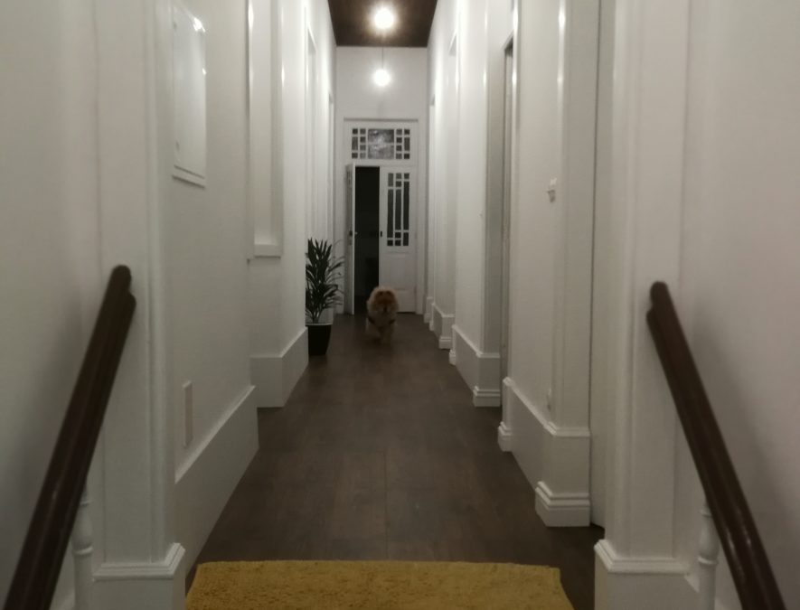 Habitação Unifamiliar | Ílhavo